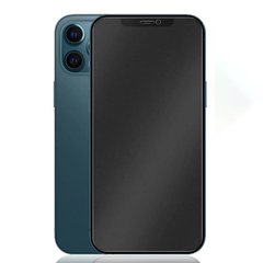 Матовое защитное стекло 2.5D для iPhone 12 Pro Max - Черный фото 1